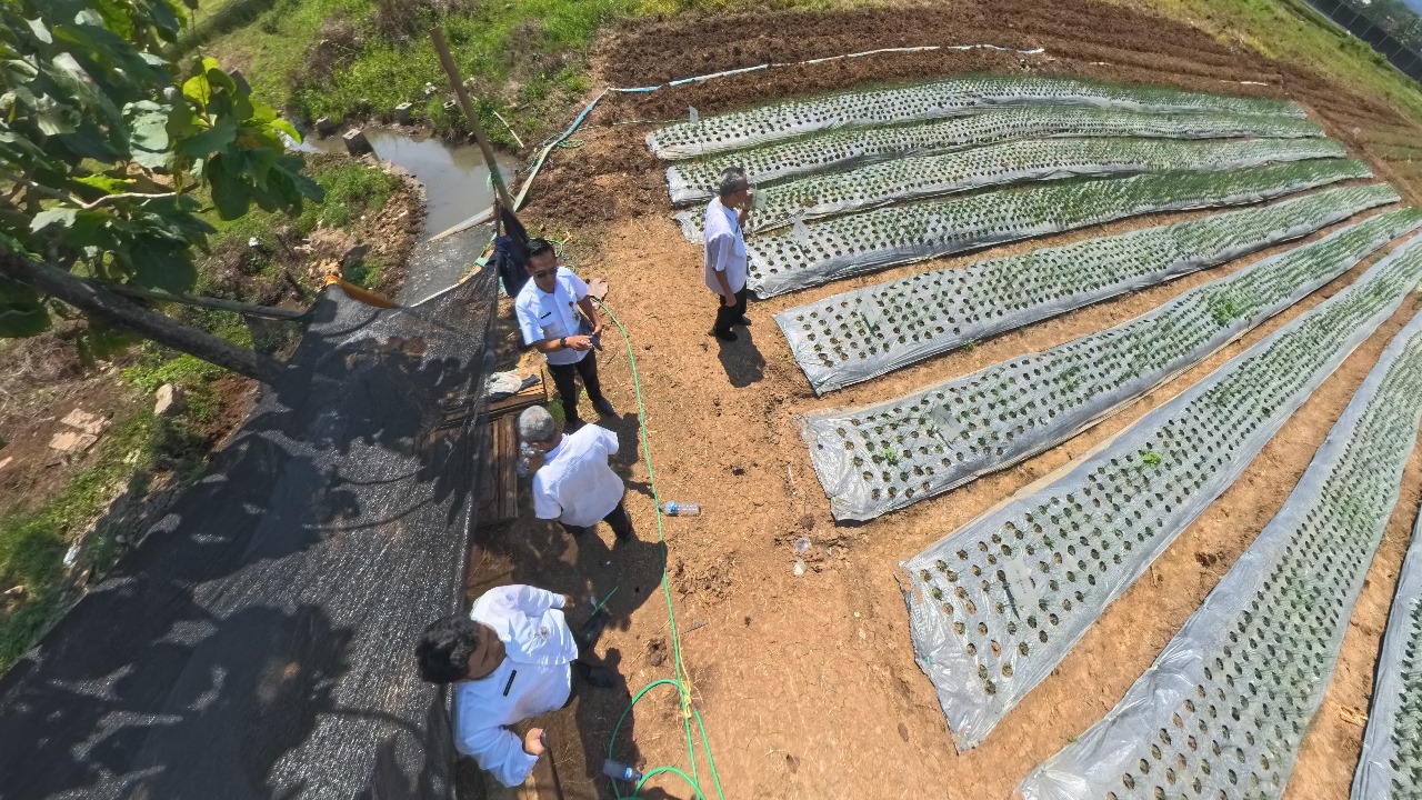 Koordinasi Pembuatan Internet of Things (IoT) Smart Urban Farming